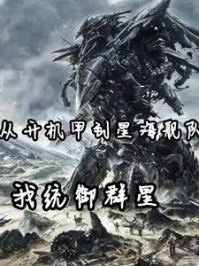 从开机甲到星海舰队,我统御群星 从开机甲到星海舰队,我统御群星