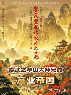 综武:剑出华山 综武:剑出华山
